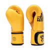 Fairtex Falcon BGV1 Muay Thai Boxing Glove