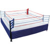 14' X 14' Pro Boxing Ring Made in USA