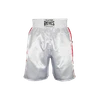Cleto Reyes Boxing Trunks Mexican Flag