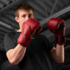 Hayabusa E1 Leather Boxing Gloves