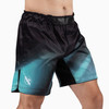 Hayabusa Men’s Apex Nova 3/4 Thigh Fight Shorts