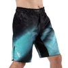Hayabusa Men’s Apex Nova Full-Length Fight Shorts