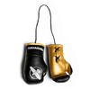 Hayabusa Mini Boxing Gloves