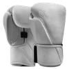 Hayabusa T360 Leather Boxing Gloves