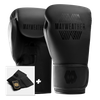Hayabusa Mayweather Core Boxing Gloves Kit