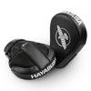Hayabusa PTS3 Focus Mitts