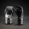 Venum Reverso Boxing Gloves – Black/Silver