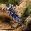 Venum MX Elite Alien Pant - Black/Sand