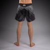 Venum Midnight Fury Fightshorts - Black/Grey/Silver