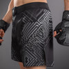 Venum Midnight Fury Fightshorts - Black/Grey/Silver