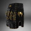 Venum Serpenti Muay Thai Shorts - Black/Silver/Gold