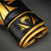 Venum Challenger 2.5 Boxing Gloves – Black/Gold