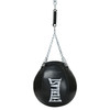 Everlast Elite Pro Leather Wrecking Ball
