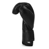 Everlast Elite Pro Leather Training Gloves Hook & Loop - White