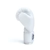 Everlast Classic Boxing Gloves - Blue