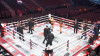 Pro Elite Elevated Official Fight Night Boxing Ring