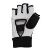 Century World Elite Hand Protector