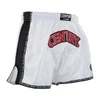 Century WAKO K1/Low Kick Short
