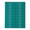 Century Perserverance Belt Stripe