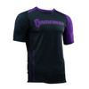 Gameness Short Sleeve Limited Edition Ranked Rashguard