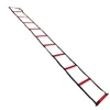 Century Agility Ladder