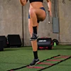 Century Agility Ladder