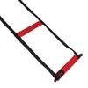 Century Agility Ladder