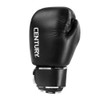Century Creed Sparring Gloves