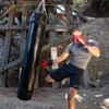 Century 100 lb. Muay Thai Heavy Bag
