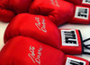 TITLE Boxing Legacy Autograph Gloves 2.0