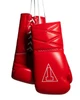 TITLE Boxing Momentum Pro Sparring Gloves