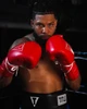 TITLE Boxing Momentum Pro Sparring Gloves