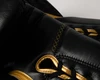 TITLE Boxing Momentum Pro Sparring Gloves