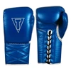 TITLE Boxing Momentum Pro Sparring Gloves