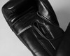 TITLE Boxing Momentum Pro Training Gloves