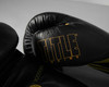 TITLE Boxing Momentum Pro Training Gloves