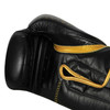 TITLE Boxing Momentum Pro Training Gloves