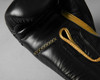 TITLE Boxing Momentum Pro Training Gloves