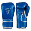 TITLE Boxing Momentum Pro Training Gloves