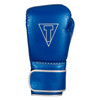 TITLE Boxing Momentum Pro Training Gloves