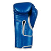 TITLE Boxing Momentum Pro Training Gloves