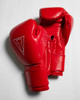 TITLE Boxing Momentum Pro Training Gloves