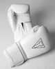 TITLE Boxing Momentum Pro Bag Gloves
