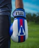TITLE Boxing World Bag Boxing Gloves