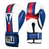 TITLE Boxing World Bag Boxing Gloves