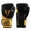 TITLE Boxing Swift Bag Boxing Gloves