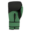 TITLE Boxing Conquest Training Boxing Gloves