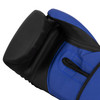TITLE Boxing Conquest Training Boxing Gloves