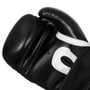 TITLE Boxing Peak Bag Boxing Gloves