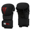 TITLE MMA Striker Sparring Gloves
